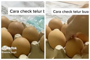 Bukan diterawang pakai senter, ini trik sederhana bedakan telur masih segar dan busuk