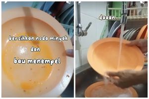 Jangan cuma dicuci, begini cara menghilangkan minyak dan bau membandel di piring plastik