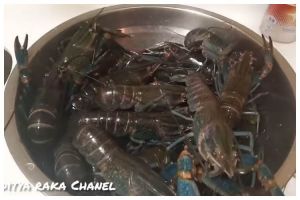 Bukan dipukul atau ditusuk pisau, ini trik praktis mematikan lobster cuma pakai 1 bahan dapur
