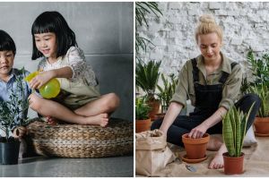 Contoh kegiatan menjaga kelestarian lingkungan di rumah, bentuk mencintai alam