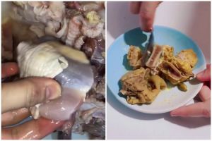 Tanpa perlu diungkep atau dipresto, ini trik praktis mengolah ayam kampung agar teksturnya empuk