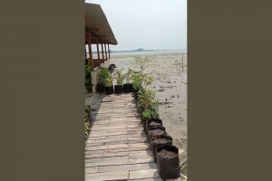 Penampakan rumah panggung unik di pesisir laut, tak disangka begini potretnya saat air surut 