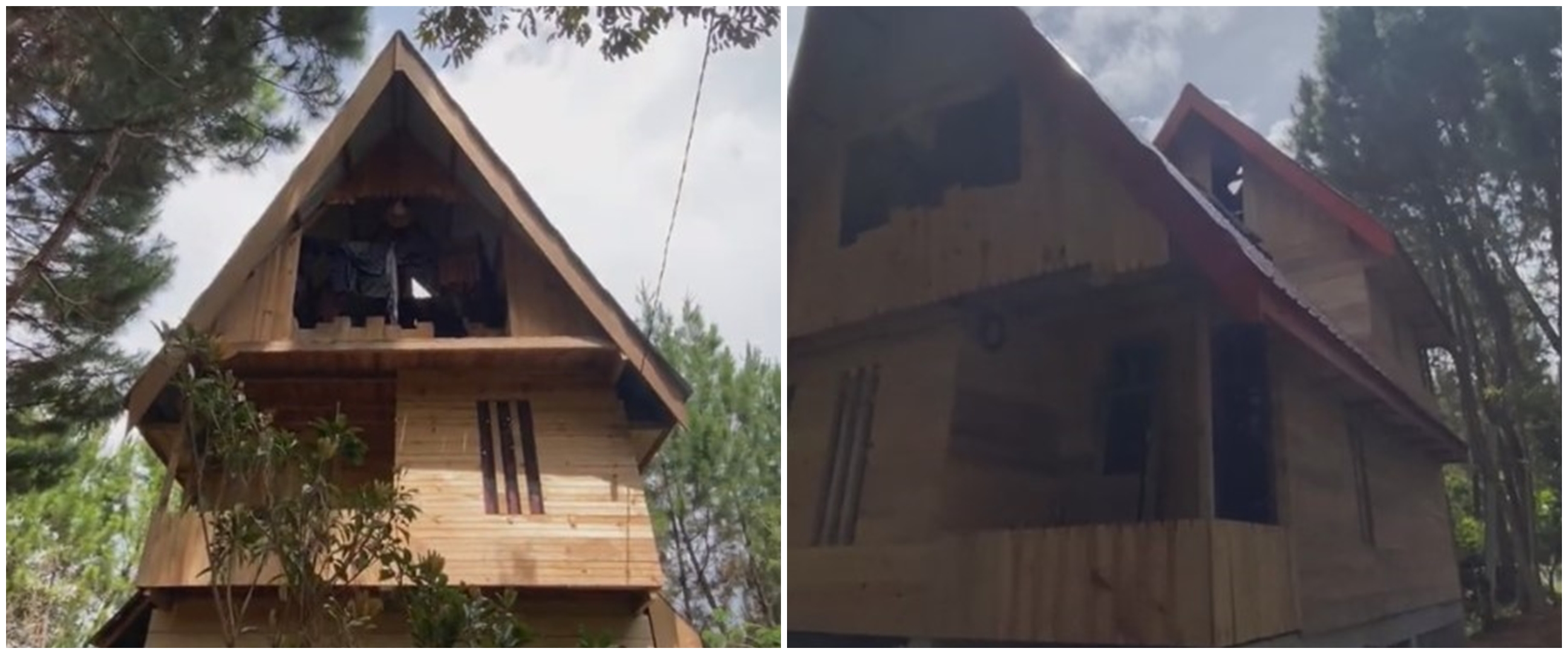 Hidup tanpa tetangga di hutan, ini 11 potret rumah kayu mungil interiornya estetik meski sederhana
