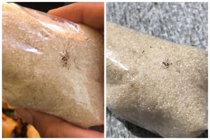 Tanpa bahan apa pun, ini cara mengusir semut di plastik kemasan gula pasir