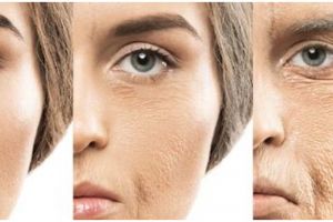 Wajah 10 tahun lebih tampak muda, begini cara hilangkan kerutan dan flek hitam pakai 1 jenis kacang