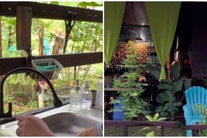 Masak antigerah dan keringatan, begini 7 penampakan dapur terbuka yang menyatu dengan kebun rumah
