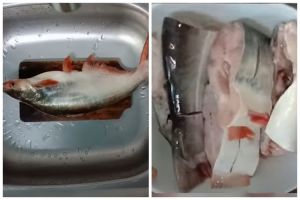 Trik menghilangkan bau tanah dan lendir pada ikan patin, ampuh tanpa jeruk nipis