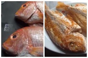 Trik goreng ikan agar irit minyak, tak meletup, dan nggak lengket di wajan, tanpa jahe atau tepung