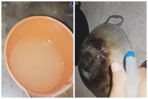 Tak perlu dibunuh, ini cara ampuh mengusir cicak pakai 1 bumbu dapur