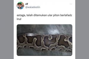 11 Potret kebetulan pada hewan ini unik banget, jangan sampai masuk grup WA keluarga