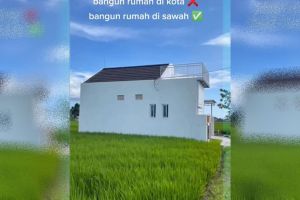 9 Potret hunian di pinggir sawah ini bebas dari tetangga julid, cocok buat mencari ketenangan
