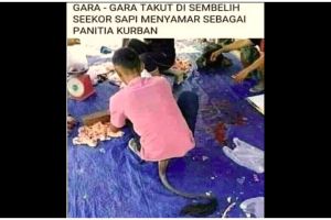 Momen meriah setahun sekali, 11 potret kocak kelakukan panitia kurban ini bikin terkekeh