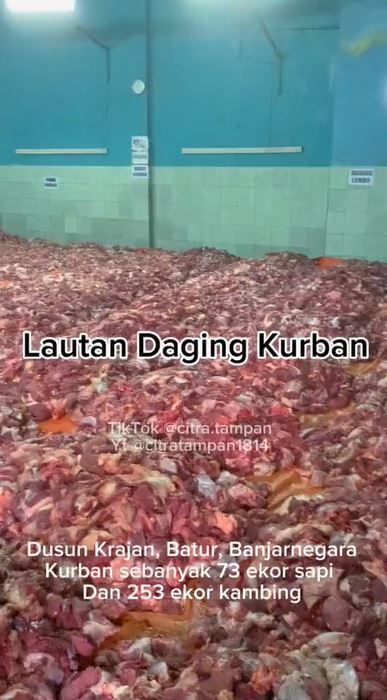 Separuh warga dusun di Banjarnegara berkurban, penampakan daging 25 ton ini bikin kagum