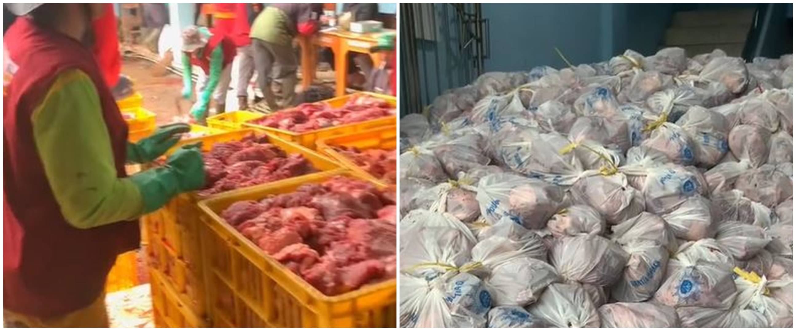 Separuh warga dusun di Banjarnegara berkurban, penampakan daging 25 ton ini bikin kagum