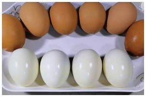 Trik mudah mengupas telur rebus agar hasilnya utuh dan mulus cuma pakai 1 bahan