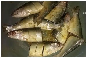 Bukan dikeringkan atau dimasukkan kulkas, ini cara mudah mengawetkan ikan agar tahan berhari-hari