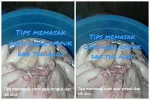 Cara mengolah cumi supaya teksturnya empuk walau tanpa baking soda