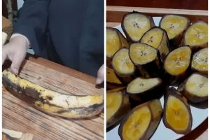 Trik mengukus pisang agar warnanya tetap cerah, kulit utuh, tak menghitam, dan kelembekan