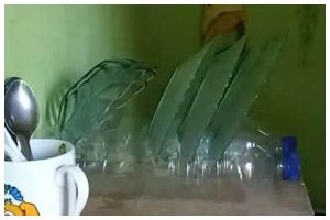 Jangan langsung dibuang, ini cara kreatif menyulap botol bekas jadi rak piring yang cantik dan kokoh