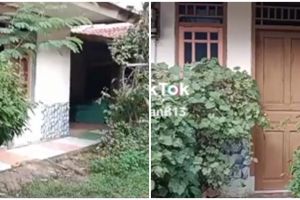 Sering disangka kontrakan, konsep rumah kampung antimainstream ini bikin orang tertipu