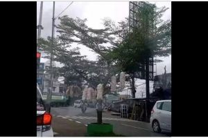 13 Potret kocak lapak pedagang ini ada di tempat tak terduga, kok kepikiran ya?