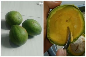 Jangan ditusuk lidi, ini trik mematangkan alpukat agar tak terlalu busuk dan kulit tetap hijau segar