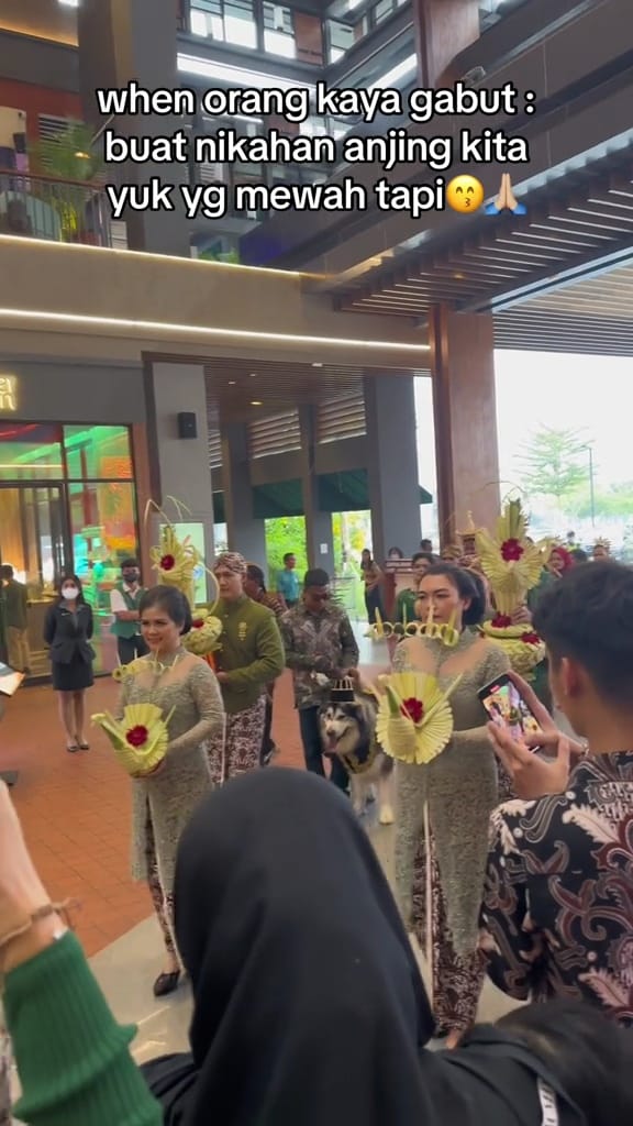 Momen orang kaya gabut gelar pernikahan mewah untuk sepasang anjingnya, bujet resepsinya Rp 200 juta
