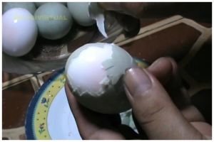 Bukan pakai garam, ini trik merebus telur agar cangkangnya gampang dikupas pakai 1 jenis daun rempah