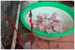 Bukan pakai terasi, ini cara praktis bikin perangkap lalat cuma pakai 3 bahan sederhana