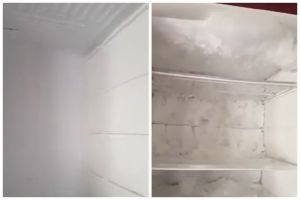 Bukan pakai kipas atau air panas, ini cara cepat mencairkan bunga es di freezer kulkas