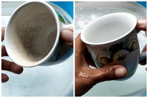 Cuma pakai sabun cuci piring, begini trik membersihkan kerak teh membandel pada gelas