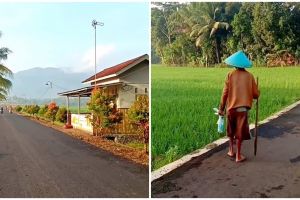 9 Potret permukiman desa di Banjarnegara ini mirip lukisan, tempat impian masa pensiun