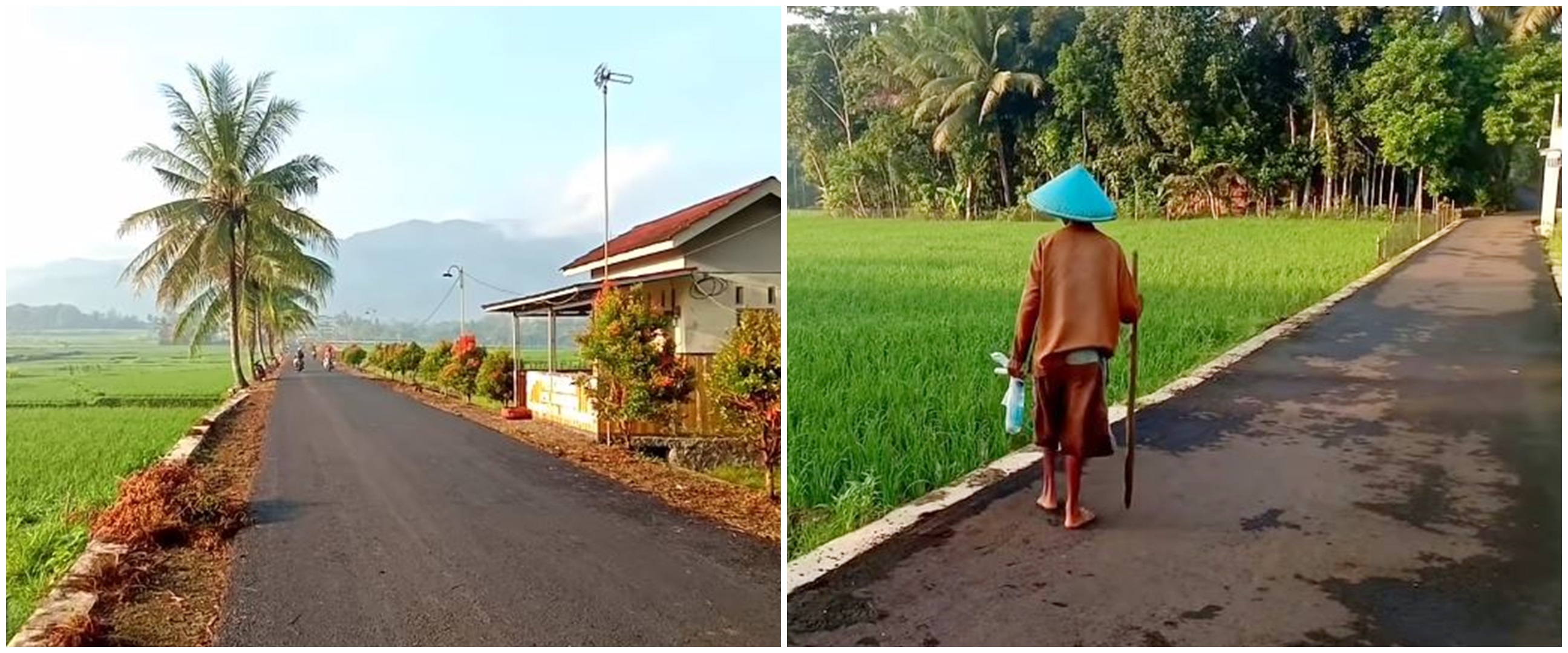 9 Potret permukiman desa di Banjarnegara ini mirip lukisan, tempat impian masa pensiun