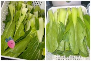 Bukan garam atau cuka, ini trik mencuci sayur agar bebas kuman dan pestisida cuma pakai 1 bahan dapur
