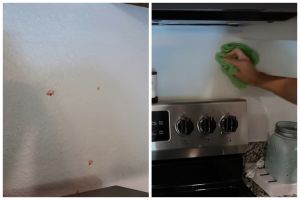 Cara bersihkan noda di dinding dan perabot dapur sekaligus bikin wangi, cuma pakai 2 bahan