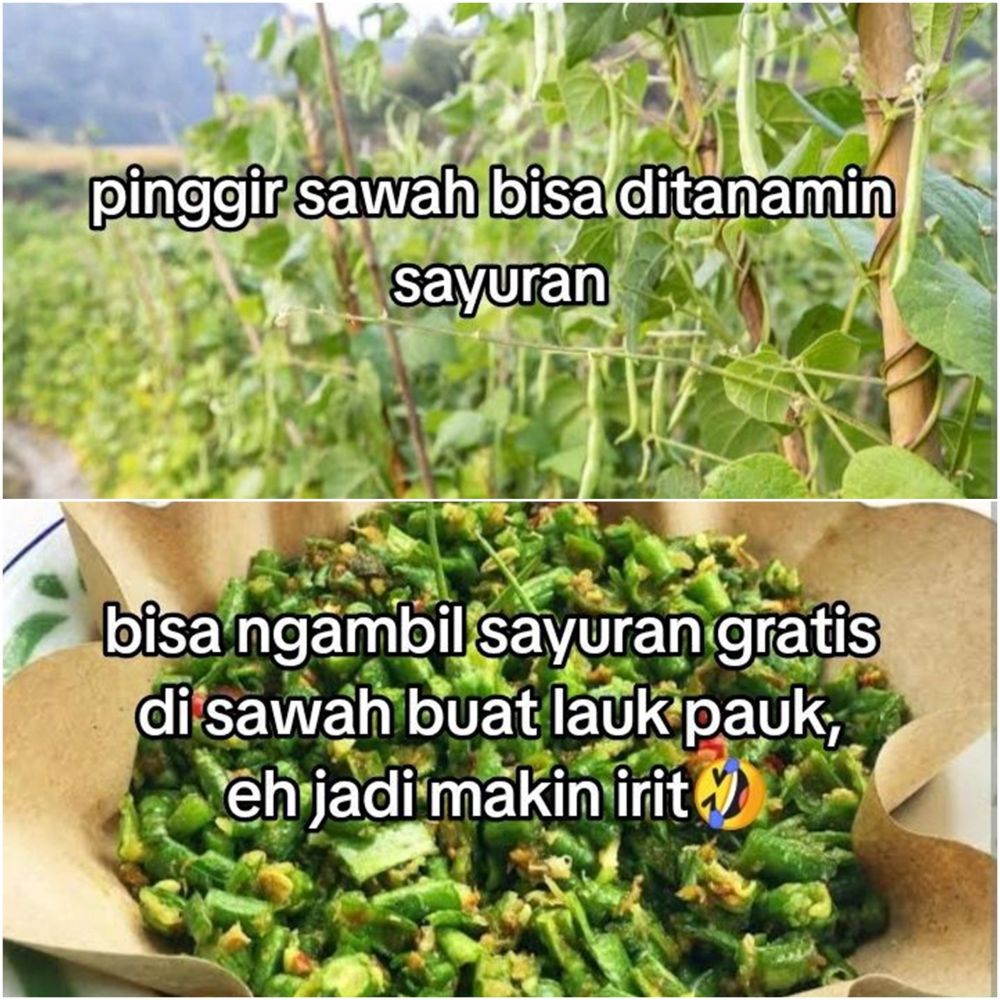 Frugal living ugal-ugalan, begini cara ibu muda atur bujet biar irit bisa punya sawah & brand skincare