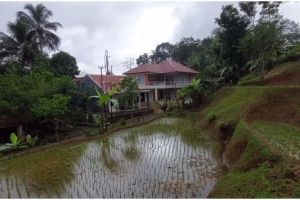 Rumah megah mepet persawahan ini milik pedangdut top, intip 11 penampakannya yang bikin takjub