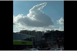 11 Penampakan kocak saat melihat langit ini bikin nyengir, hiburan pas hidup lagi capek-capeknya