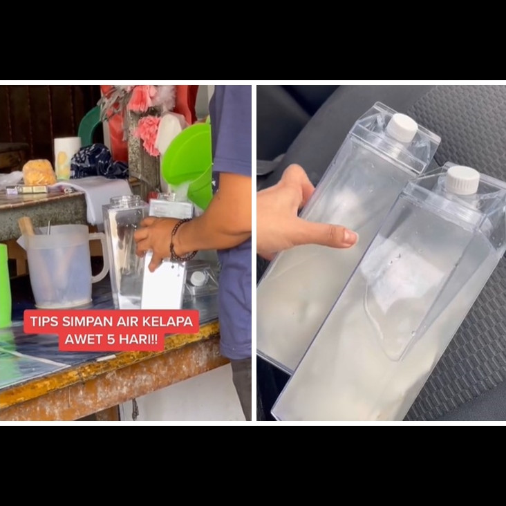 Bukan di freezer, ini trik menyimpan air kelapa agar tak cepat basi hingga 5 hari