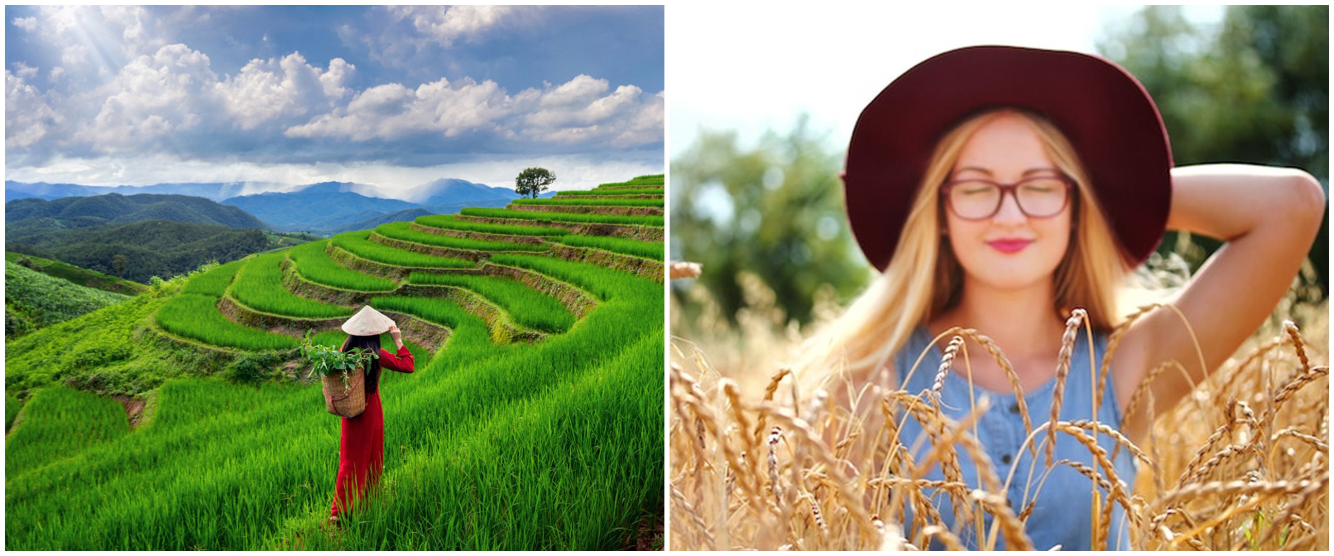 11 Arti mimpi seputar sawah menurut psikologi, bisa jadi ada kabar baik lho