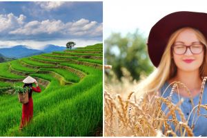 11 Arti mimpi seputar sawah menurut psikologi, bisa jadi ada kabar baik lho