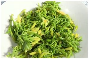 Tak perlu baking soda atau asam jawa, ini cara merebus bunga pepaya agar tak pahit pakai 1 jenis daun