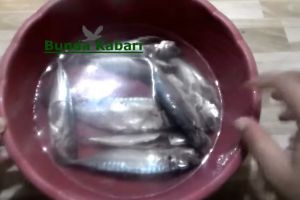 Cuma pakai 1 bahan dapur, ini cara menghilangkan formalin pengawet pada ikan