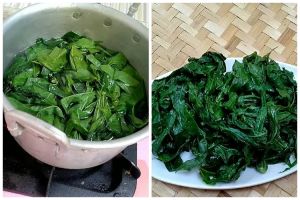 Tanpa garam, begini cara merebus daun singkong agar cepat empuk dalam 5 menit dan warnanya tetap hijau