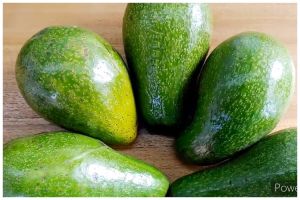 Cara mudah menyimpan buah alpukat yang sudah matang agar awet dan tak busuk sampai 6 bulan