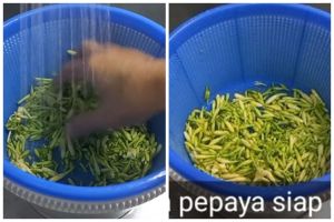 Tak perlu direbus, ini trik menghilangkan rasa pahit bunga pepaya pakai 1 bahan dapur