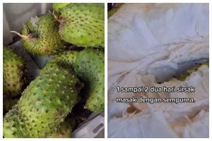 Trik mematangkan sirsak pakai 1 bahan, hasilnya lebih manis dan empuk dalam waktu 2 hari