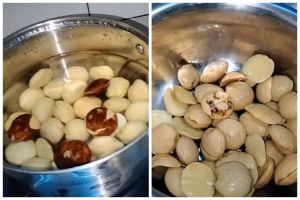 Jangan cuma pakai kopi, begini trik merebus jengkol agar baunya hilang dan cepat empuk dalam 10 menit