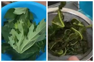 Tanpa tanah liat, ini trik merebus daun pepaya agar bebas rasa pahit dan warnanya tetap hijau