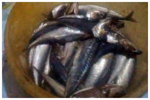 Tanpa cuka, ini cara mudah hilangkan formalin pengawet pada ikan laut cuma pakai 1 bahan dapur